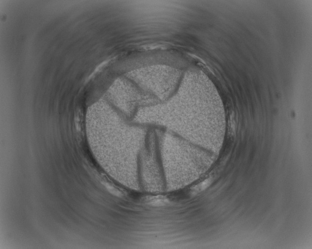 X0000078280424200612011749