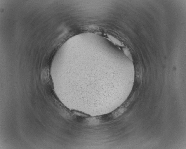 X0000078280425200612011749