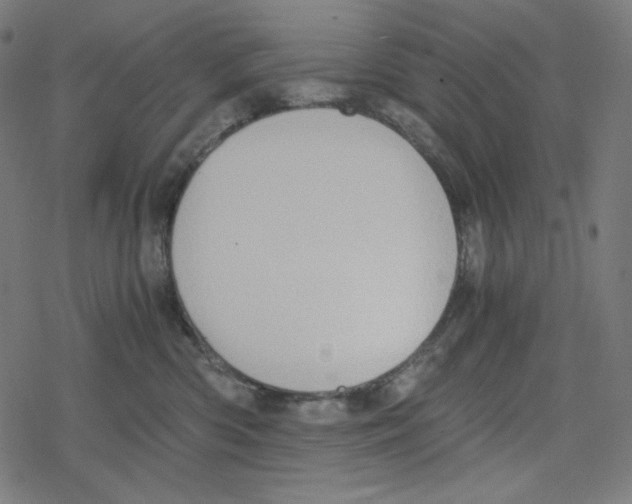 X0000078280426200612011749