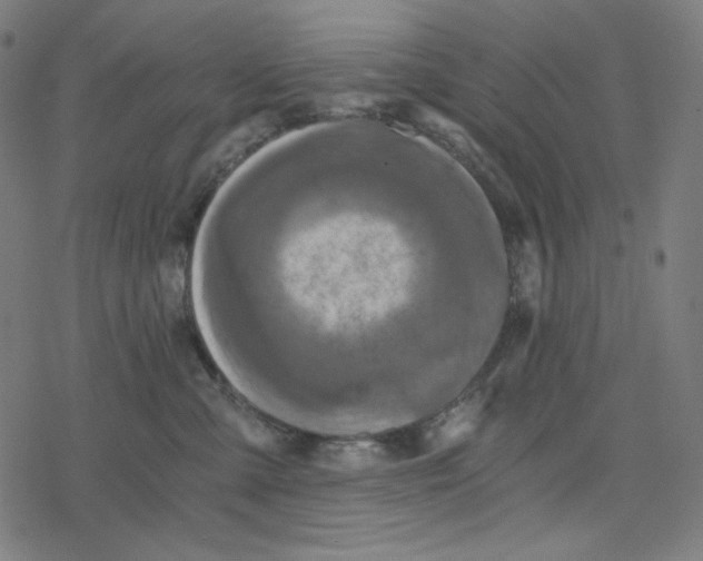 X0000078280427200612011749