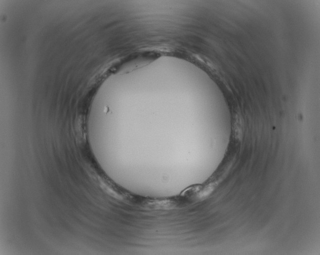 X0000078280428200612011749