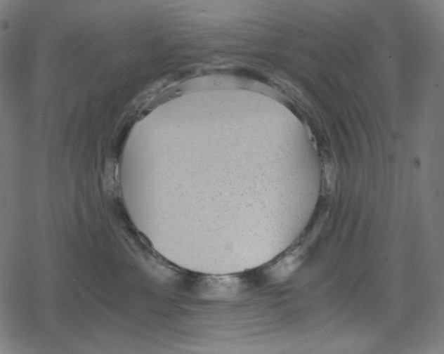 X0000078280429200612011749