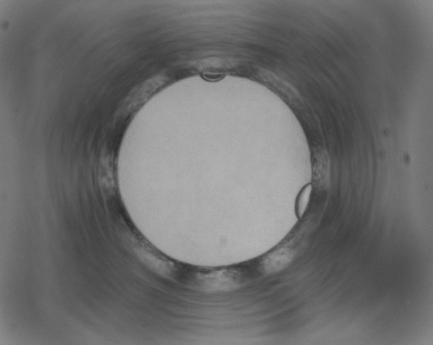 X0000078280430200612011749