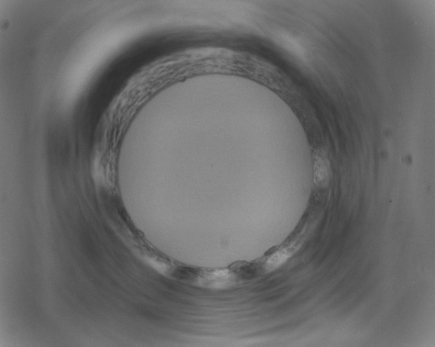 X0000078280431200612011749