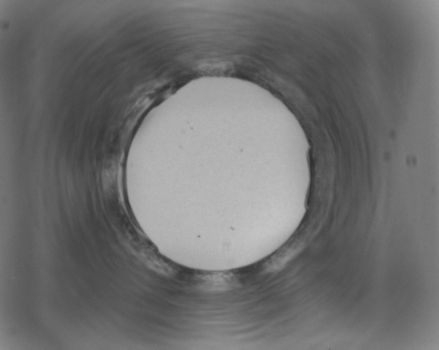 X0000078280432200612011749