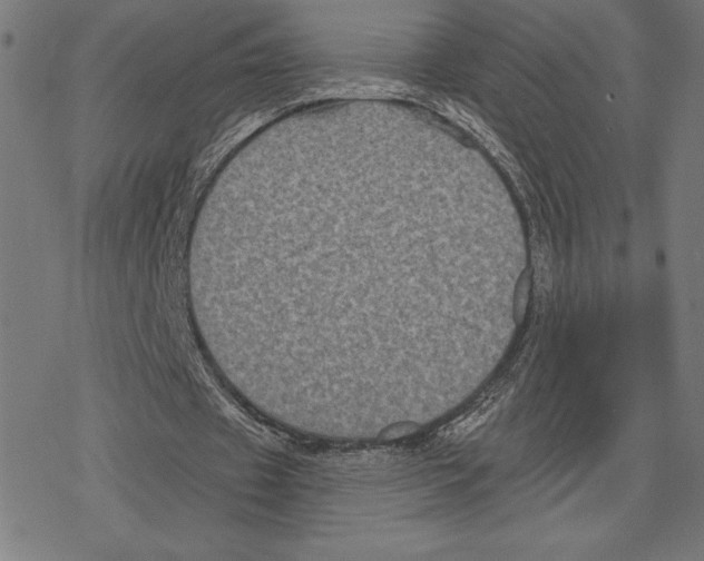 X0000078280433200612011748