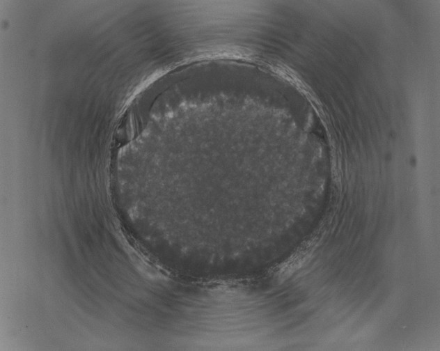 X0000078280434200612011748