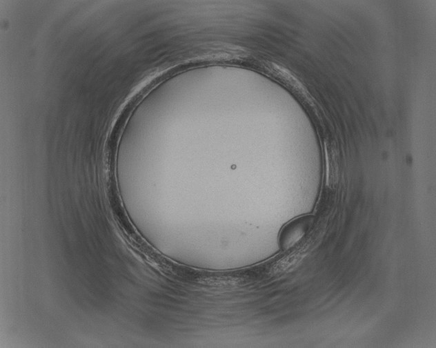 X0000078280435200612011748