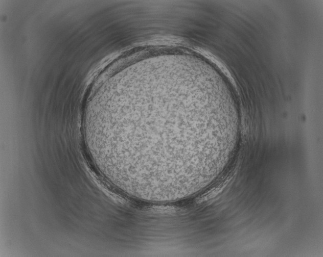 X0000078280437200612011748