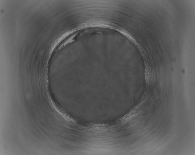 X0000078280438200612011748