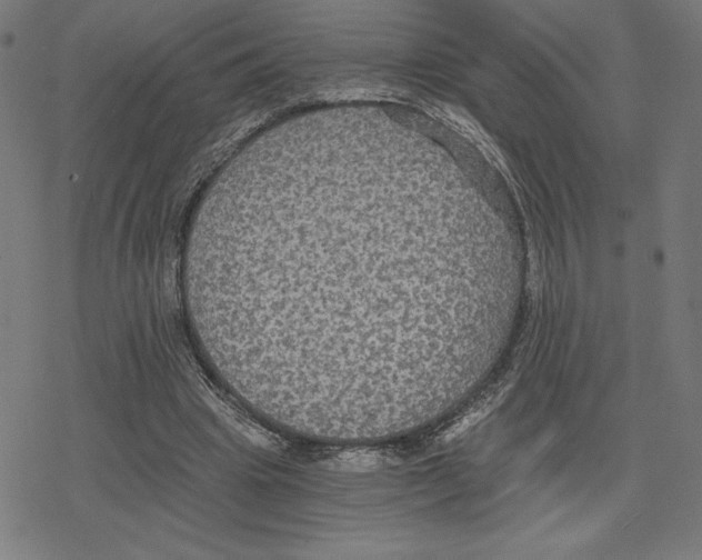 X0000078280441200612011748