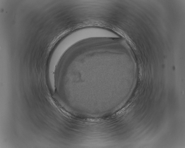 X0000078280442200612011748