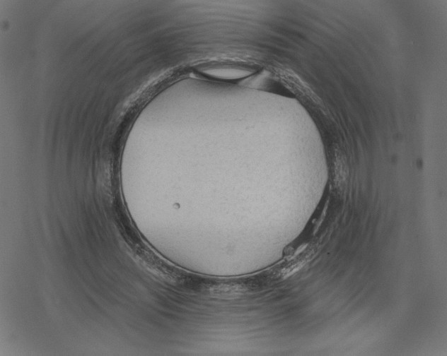 X0000078280444200612011748