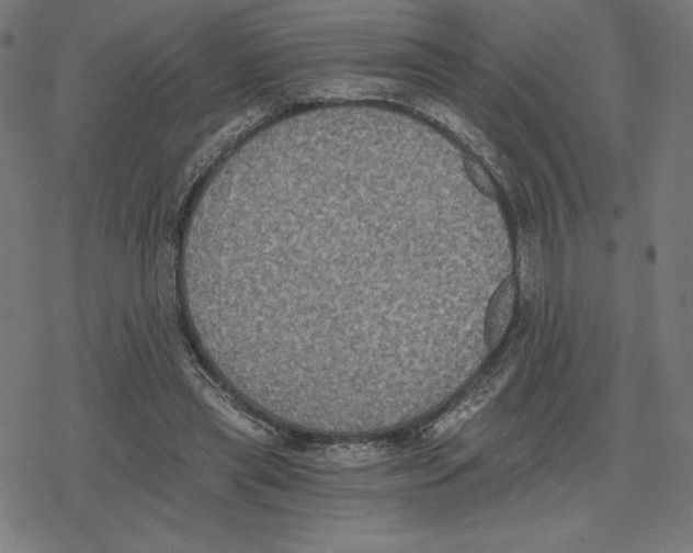 X0000078280445200612011748