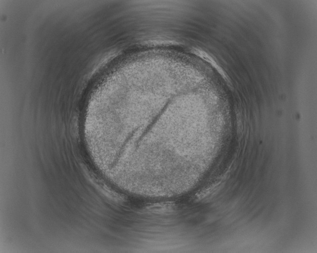 X0000078280447200612011748