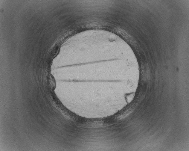 X0000078280449200612011748