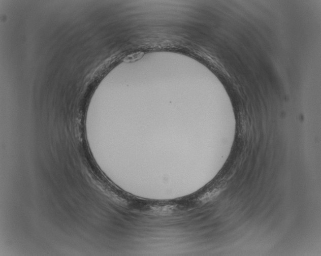 X0000078280450200612011748