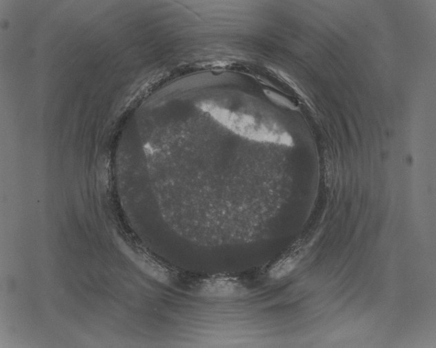 X0000078280451200612011748