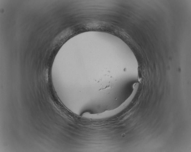 X0000078280454200612011748