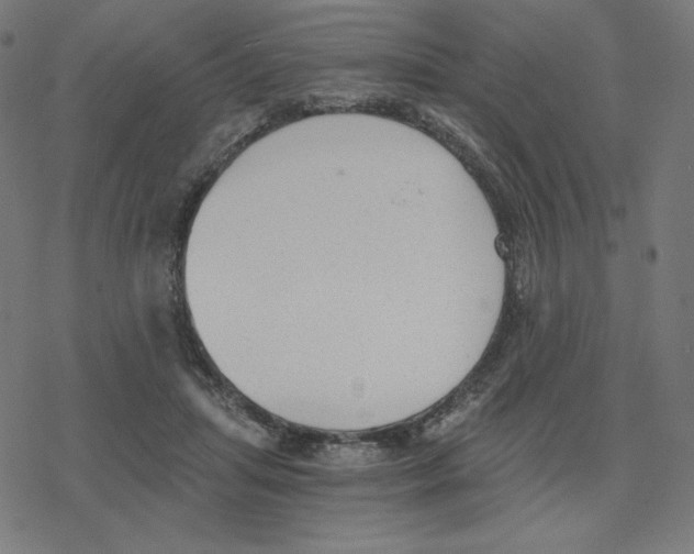 X0000078280455200612011748