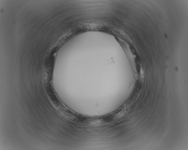 X0000078280456200612011748