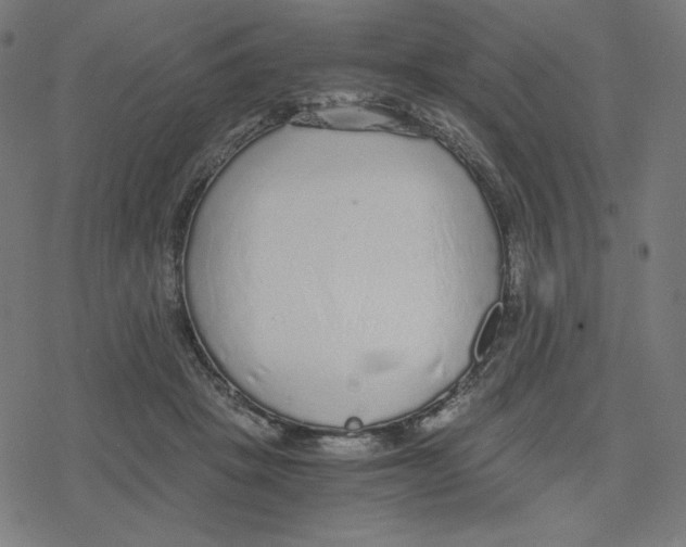 X0000078280457200612011748