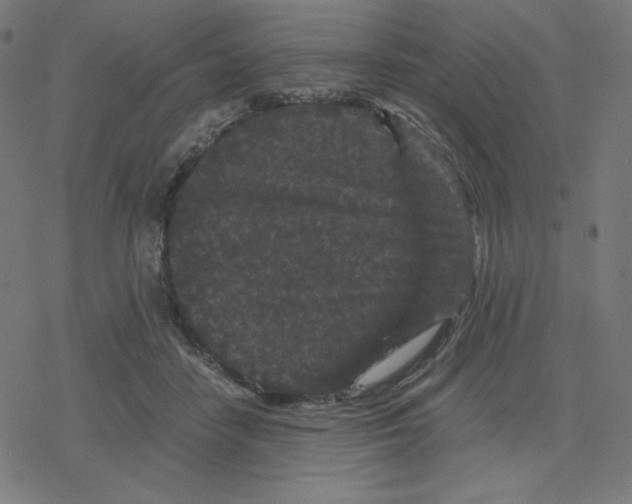 X0000078280458200612011748