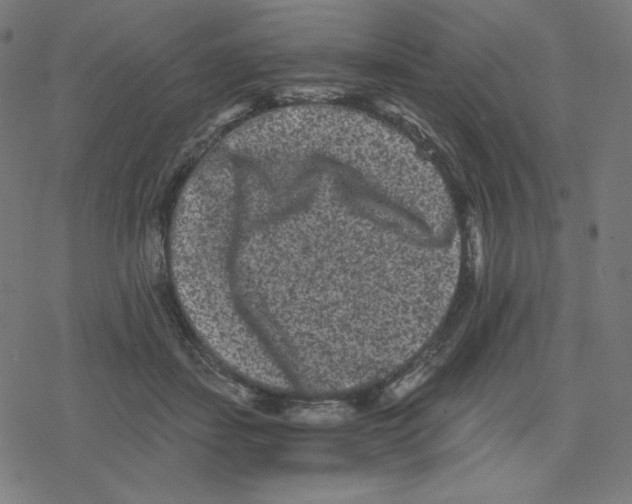 X0000078280459200612011748