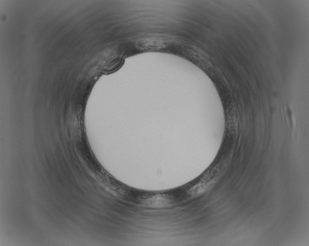 X0000078280460200612011748