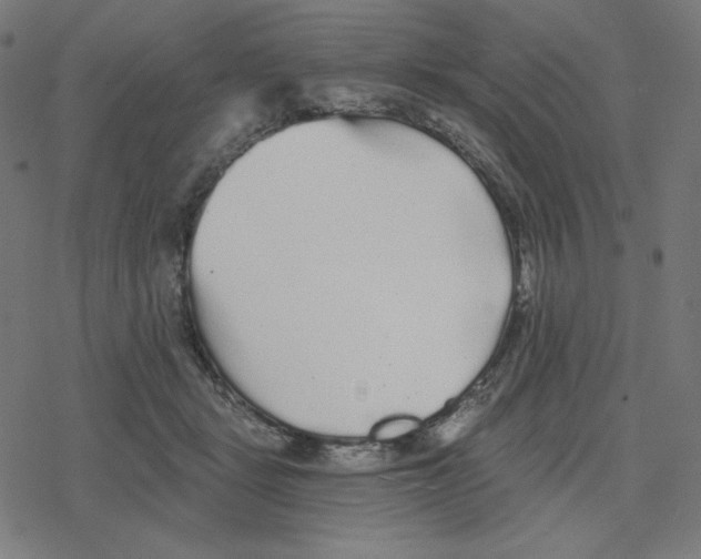 X0000078280461200612011748