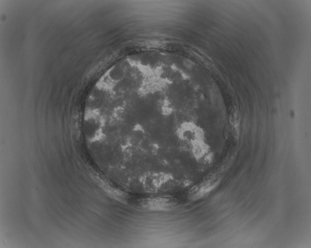 X0000078280462200612011748