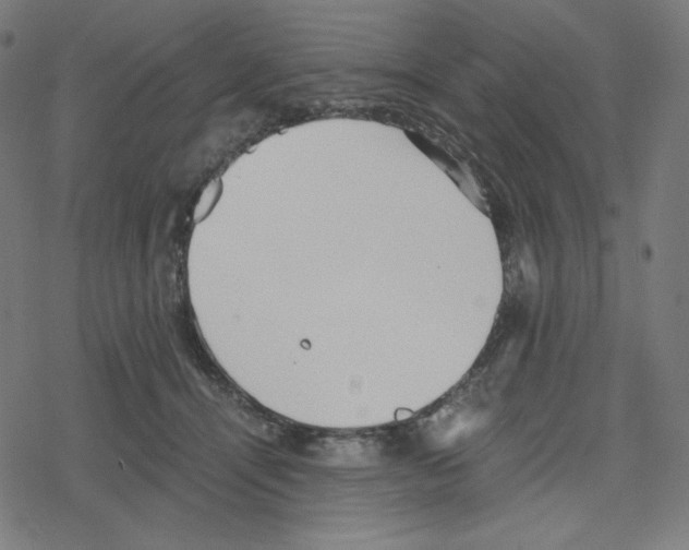 X0000078280464200612011748