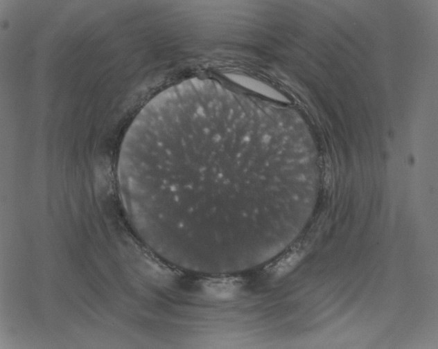 X0000078280465200612011748