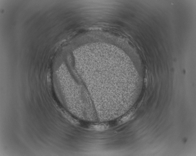 X0000078280466200612011748