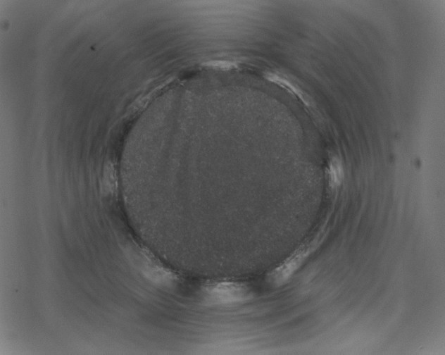 X0000078280467200612011748