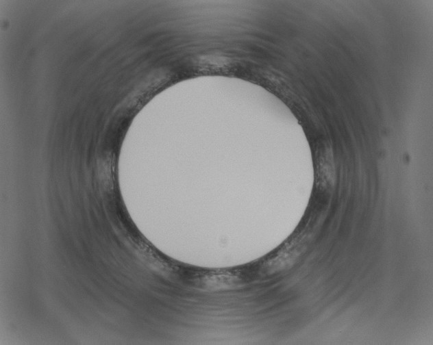 X0000078280468200612011748