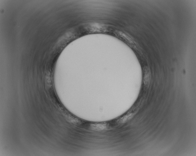 X0000078280469200612011748