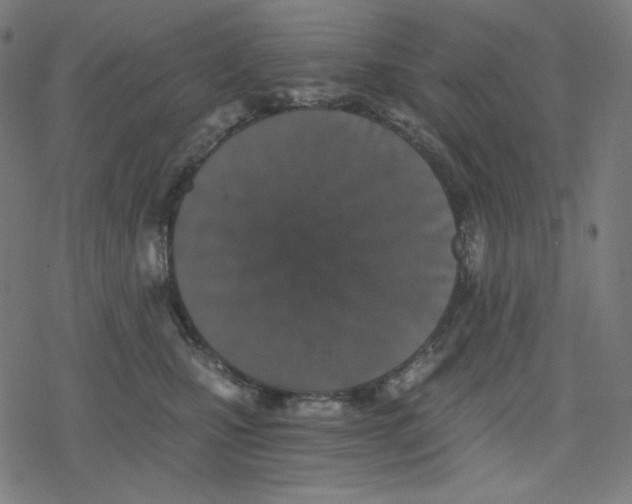 X0000078280471200612011748