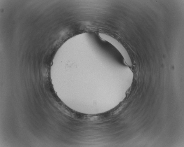 X0000078280472200612011749