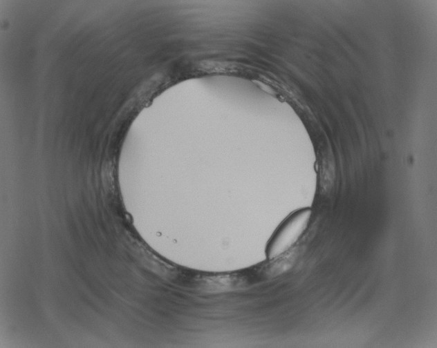 X0000078280473200612011749