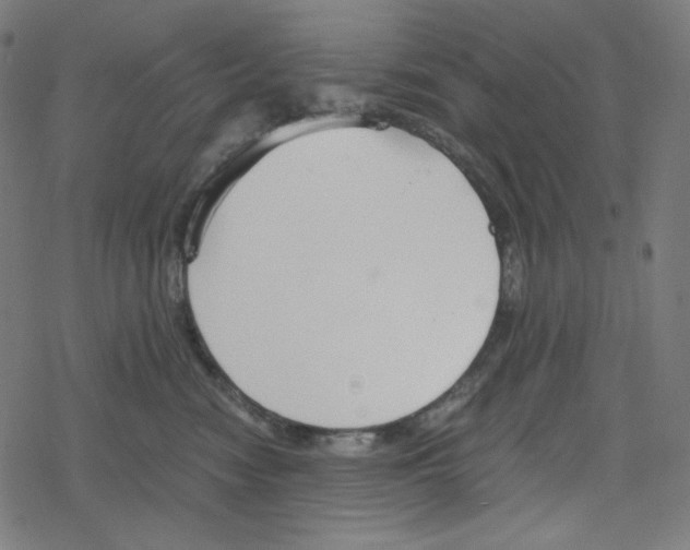 X0000078280474200612011749