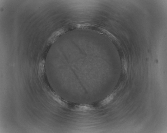 X0000078280475200612011749