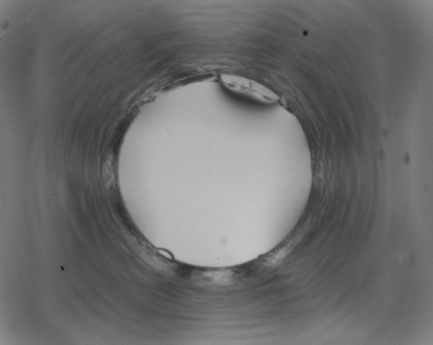 X0000078280478200612011749