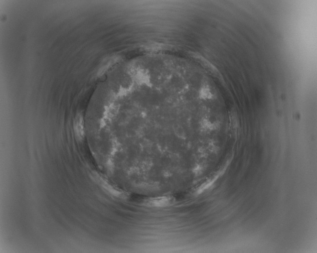 X0000078280479200612011749