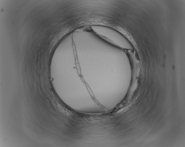 X0000078280481200612011748