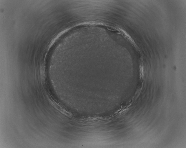 X0000078280484200612011748