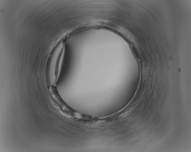 X0000078280485200612011748