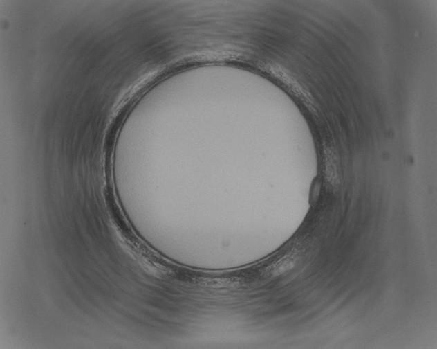 X0000078280486200612011748