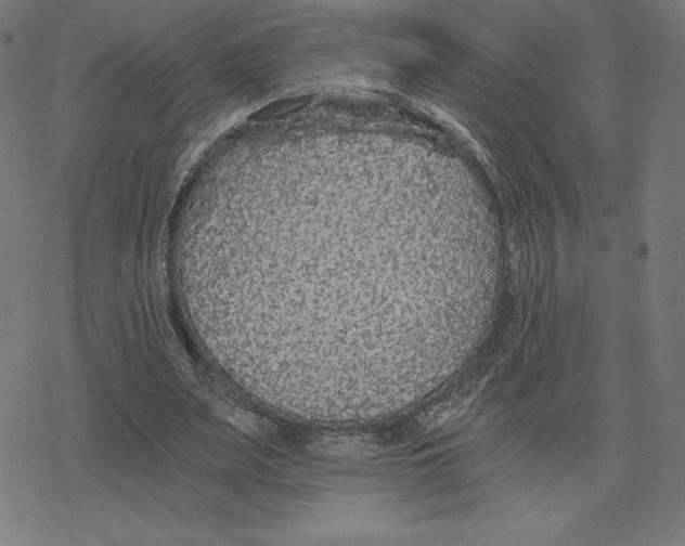 X0000078280487200612011748