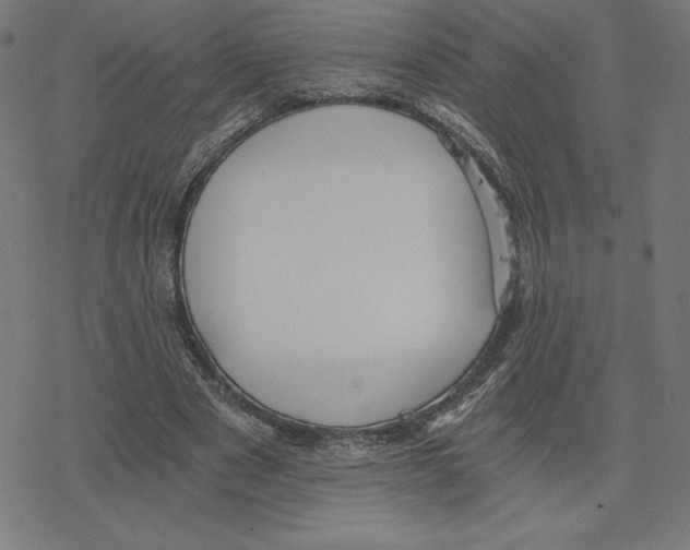 X0000078280489200612011748